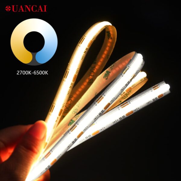 8mm Tunable color Warm and Cool White led strip lights