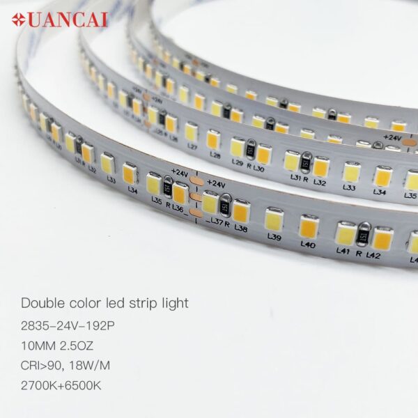 SMD 2835 192leds 24v 10mm CCT changeable LED tape lights
