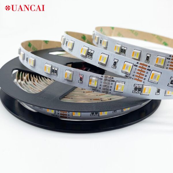 SMD 5050 60leds 24v 12mm RGB addressable LED strip lights CCT