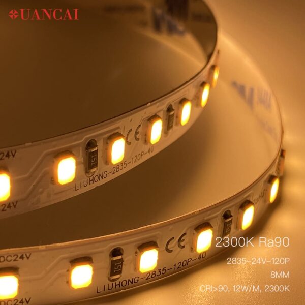 SMD led Strip light 2835 120leds 24v 8mm monochrome LED strip light